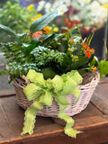 Plant Basket