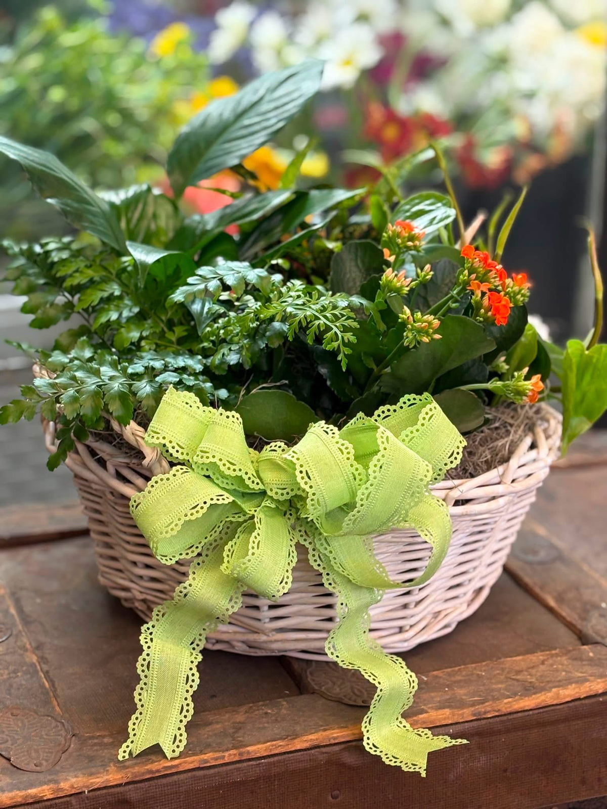 Plant Basket